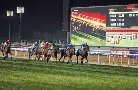 meydan racecourse fixtures 2023|2023 Dubai World Cup horseracing to be held on March 25.